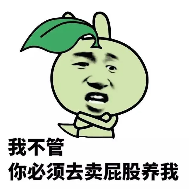 我不管，你必须去卖屁股养我