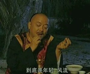 到底是年轻 风流（到底是年轻 风流）