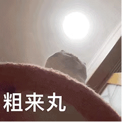 粗来丸（粗来丸）