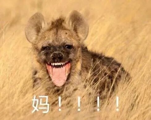 妈！！！（妈！！！）