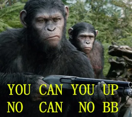 you can you up no can no bb
