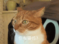 你有猫吗？？？？表情包