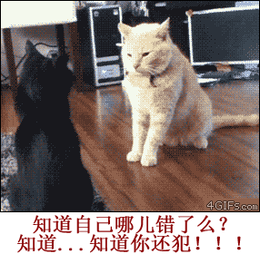 知道自己哪里错了么？知道。。。知道你还犯！！！（知道自己哪里错了么？知道。。。知道你还犯！！！）