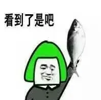 看到了是吧