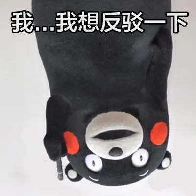 我…我想反驳一下