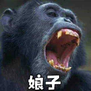 娘子（大猩猩）