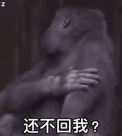 还不回我信息 行我走 大猩猩表情包（还不回我信息 行我走 大猩猩表情包）
