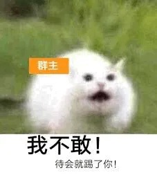 群主:我不敢!待会就踢了你!