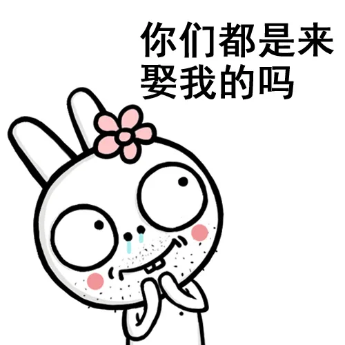 你们都是来娶我的吗？