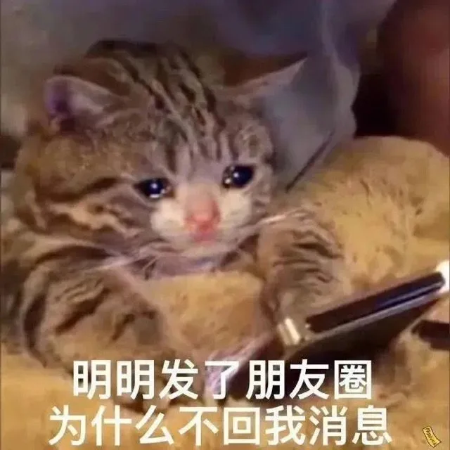 明明发了朋友圈为什么不回我消息（明明发了朋友圈为什么不回我消息）
