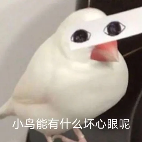 小鸟能有什么坏心眼呢（小鸟能有什么坏心眼呢）