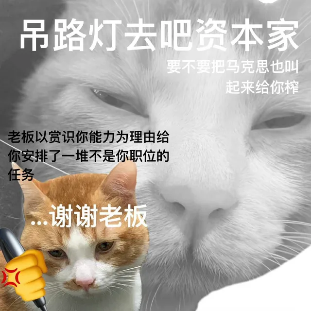 吊路灯去吧资本家要不要把马克思也叫起来给你榨老板以赏识你能力为理由给你安排了一堆不是你职位的任务谢谢老板