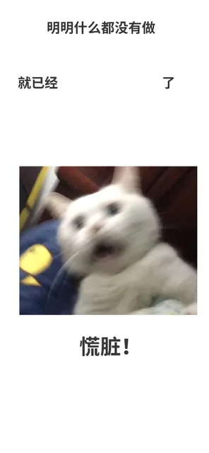 明明什么都没有做就已经了慌脏!(猫咪)（明明什么都没有做就已经了慌脏!(猫咪)）