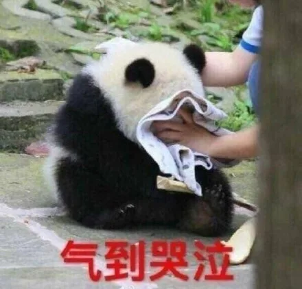 气到哭泣！（气到哭泣！）