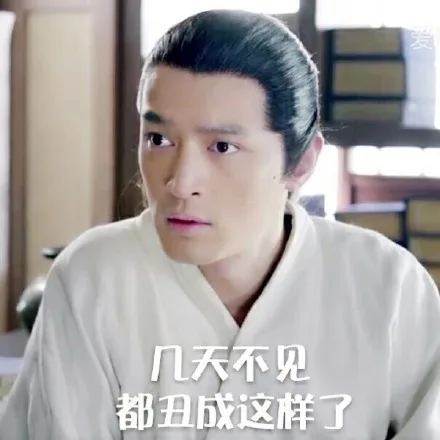 几天不见，都丑成这样了（几天不见，都丑成这样了）