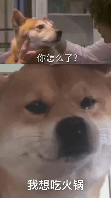 你怎么了？我想吃火锅（你怎么了？我想吃火锅）