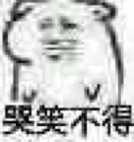 哭笑不得（哭笑不得）