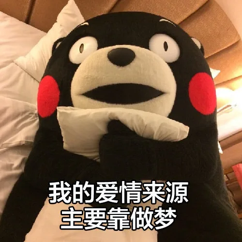 我的爱情来源主要靠做梦