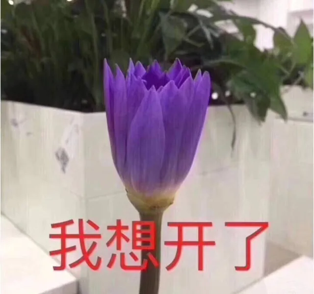 我想开了