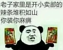 老子家里是开小卖部的辣条堆积如山你装你麻痹