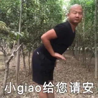 小giao给您请安