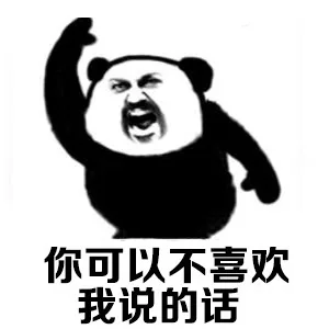 卧槽！好有道理！_熊猫头表情包