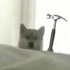 doge狗狗拿锤子动图表情包