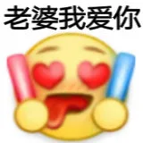 老婆我爱你（老婆我爱你）