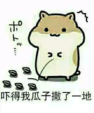 吓得我瓜子撒了一地