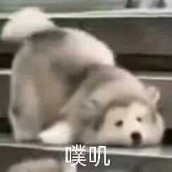 噗叽