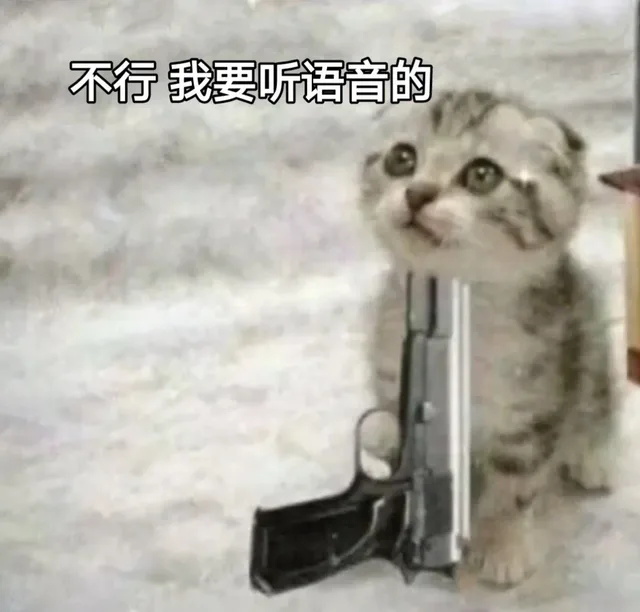 不行我要听语音的