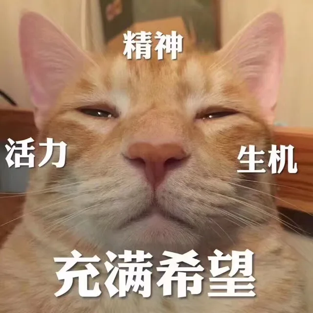 活力，精神，生机满满，充满希望