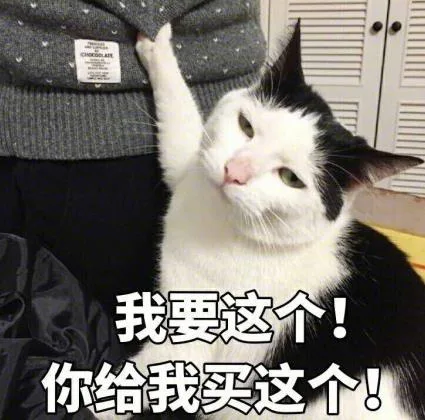 我要这个，你给我买这个！猫咪值衣服（我要这个，你给我买这个！猫咪值衣服）