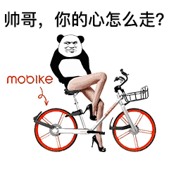 帅哥，你的心怎么走（熊猫头骑摩拜单车）
