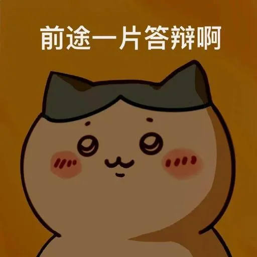 前途一片答辩啊（前途一片答辩啊）