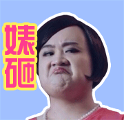 婊砸（婊砸）