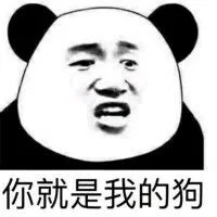 你就是我的狗！（你就是我的狗！）