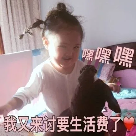 嘿嘿嘿 我又来讨要生活费了