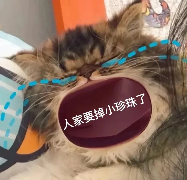 人家要掉小珍珠了