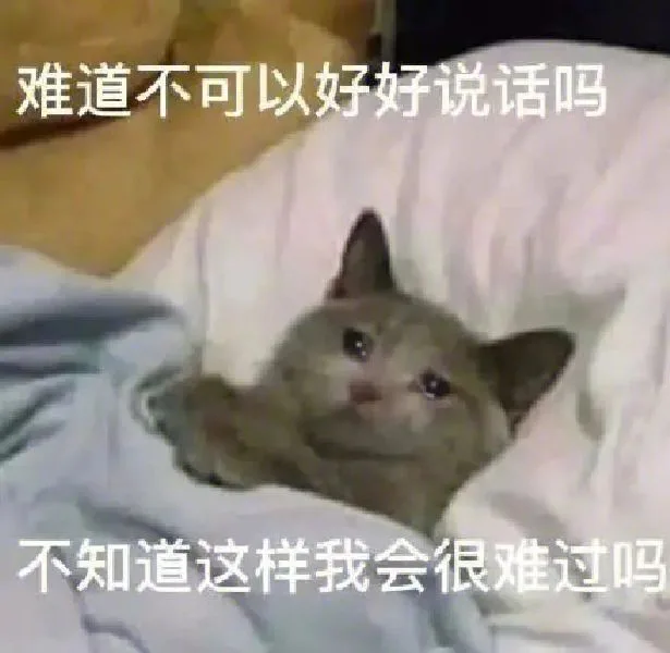 难道不可以好好说话吗不知道这样我会很难过吗（难道不可以好好说话吗不知道这样我会很难过吗）