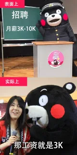 招聘信息解读，都是套路哈哈哈