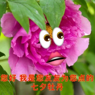您好我是您友友为您点的七夕牡丹