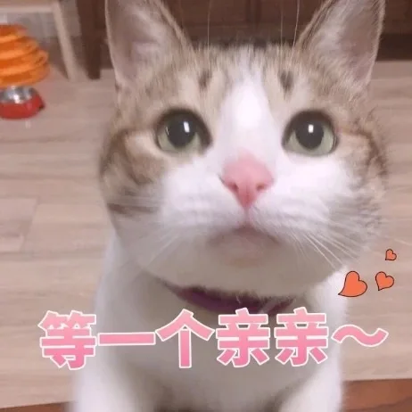 等一个亲亲（等一个亲亲）