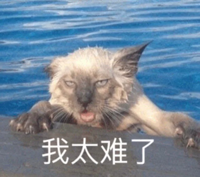 我太难了（猫咪表情包）