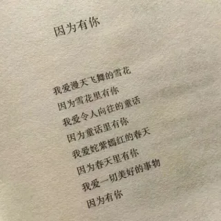 因为有你我爱漫天飞舞的雪花因为雪花里有你我爱令人向往的童话因为童话里有你我爱姹紫嫣红的春天因为春天里有你我爱一切美好的事物因为有你