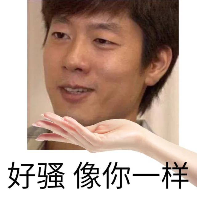 好骚像你一样