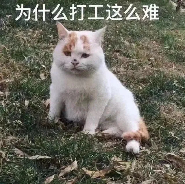 为什么打工这么难（为什么打工这么难）