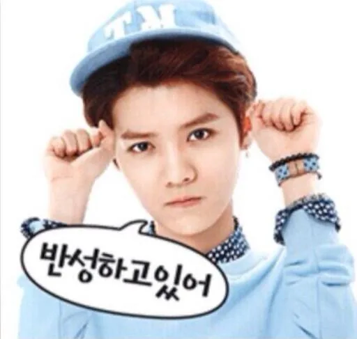 鹿晗萌萌哒表情_明星表情