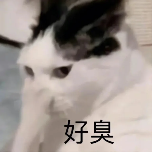 好臭（好臭）