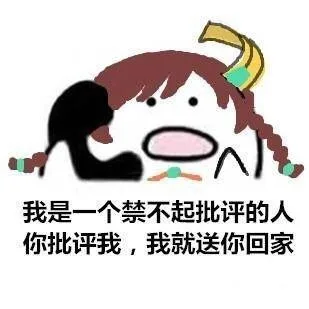 我是一个禁不起批评的人，你批评我，我就送你回家。
